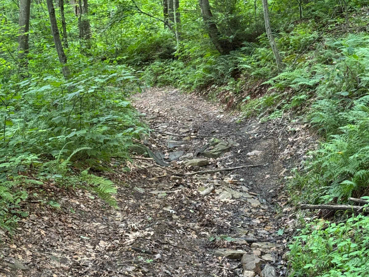 Trail 33 photo 6