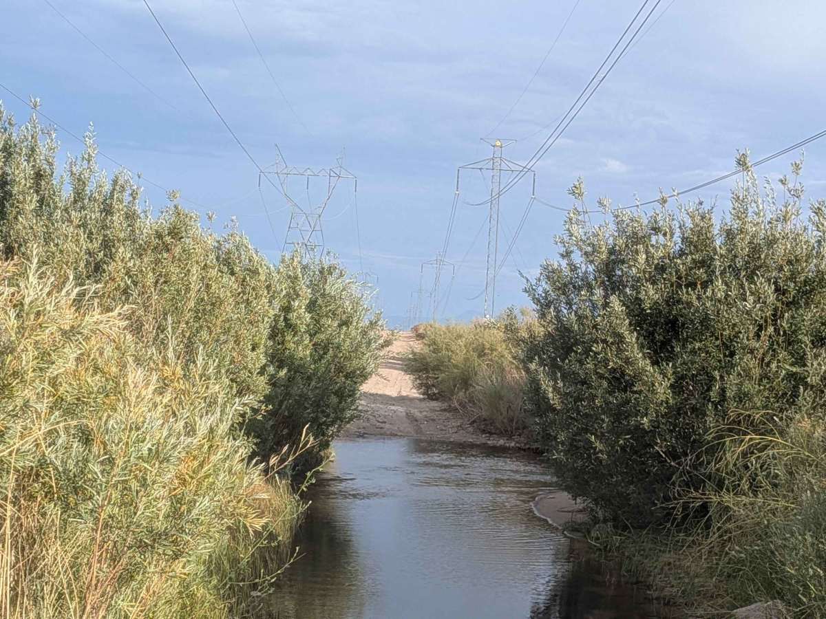 Power Line Road NW trail photo