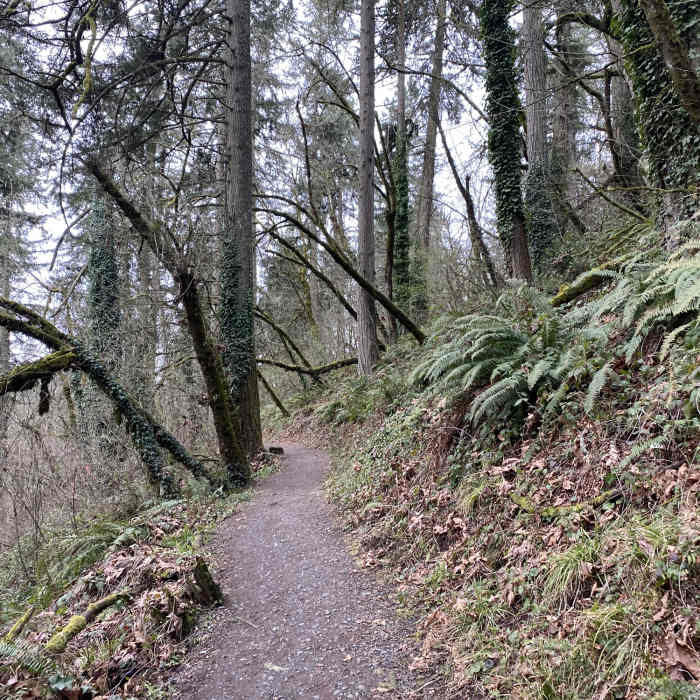 Near Ribbon Trail (Ridgeline Trail System)