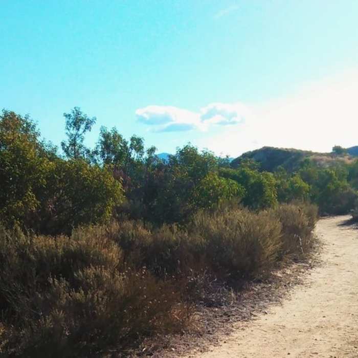 Near Irvine Regional Park Loop
