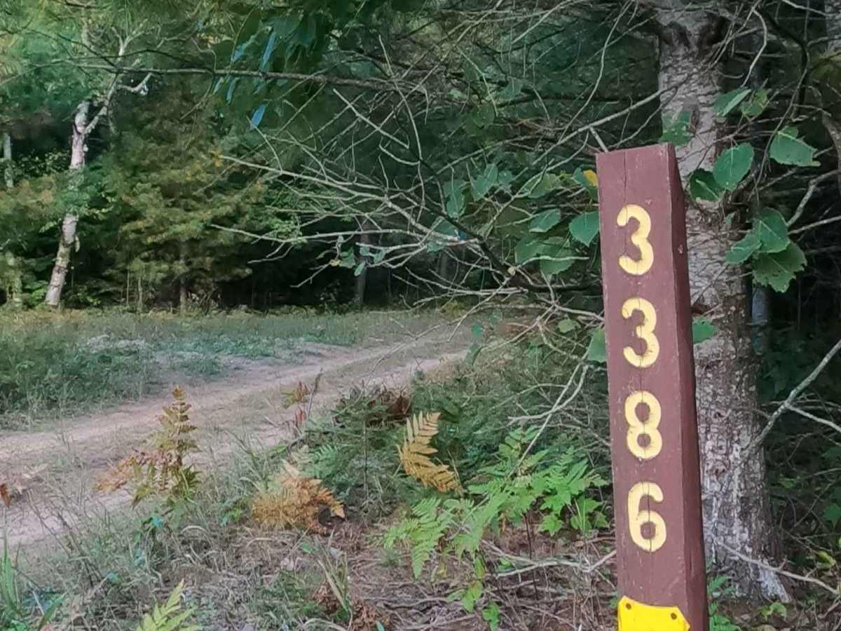 Carp Haul - FS 3386 trail photo