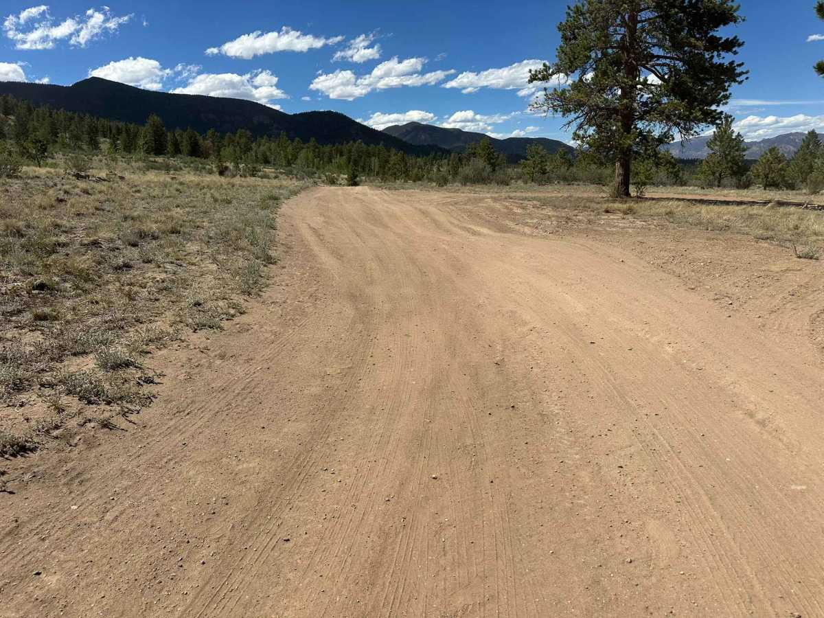 Adamans Creek Road - FS 850 trail photo