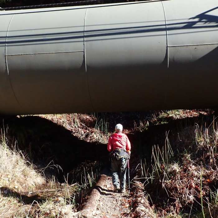 Near North Umpqua Trail #1414