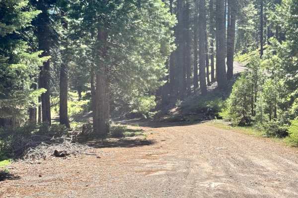 Colby Creek - FS 26N59