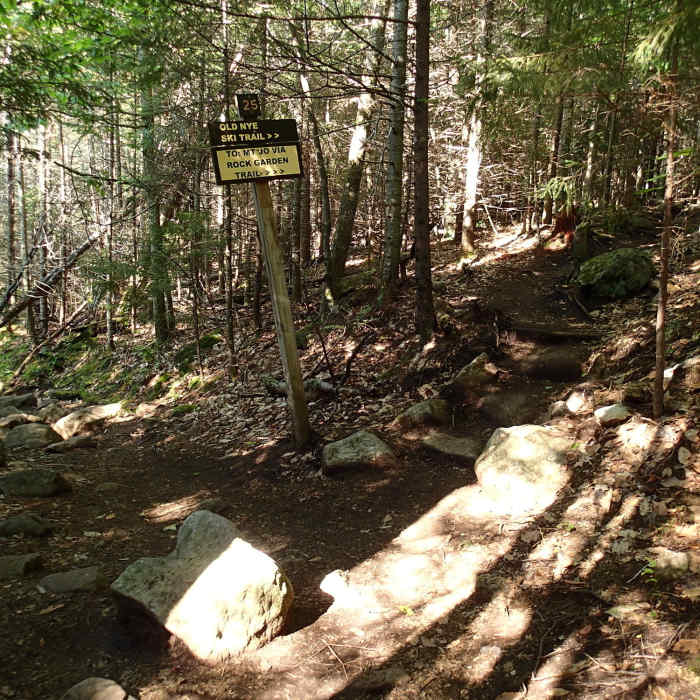 Near Indian Pass Trail