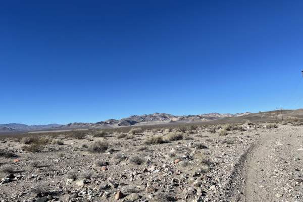 Pole Line Road