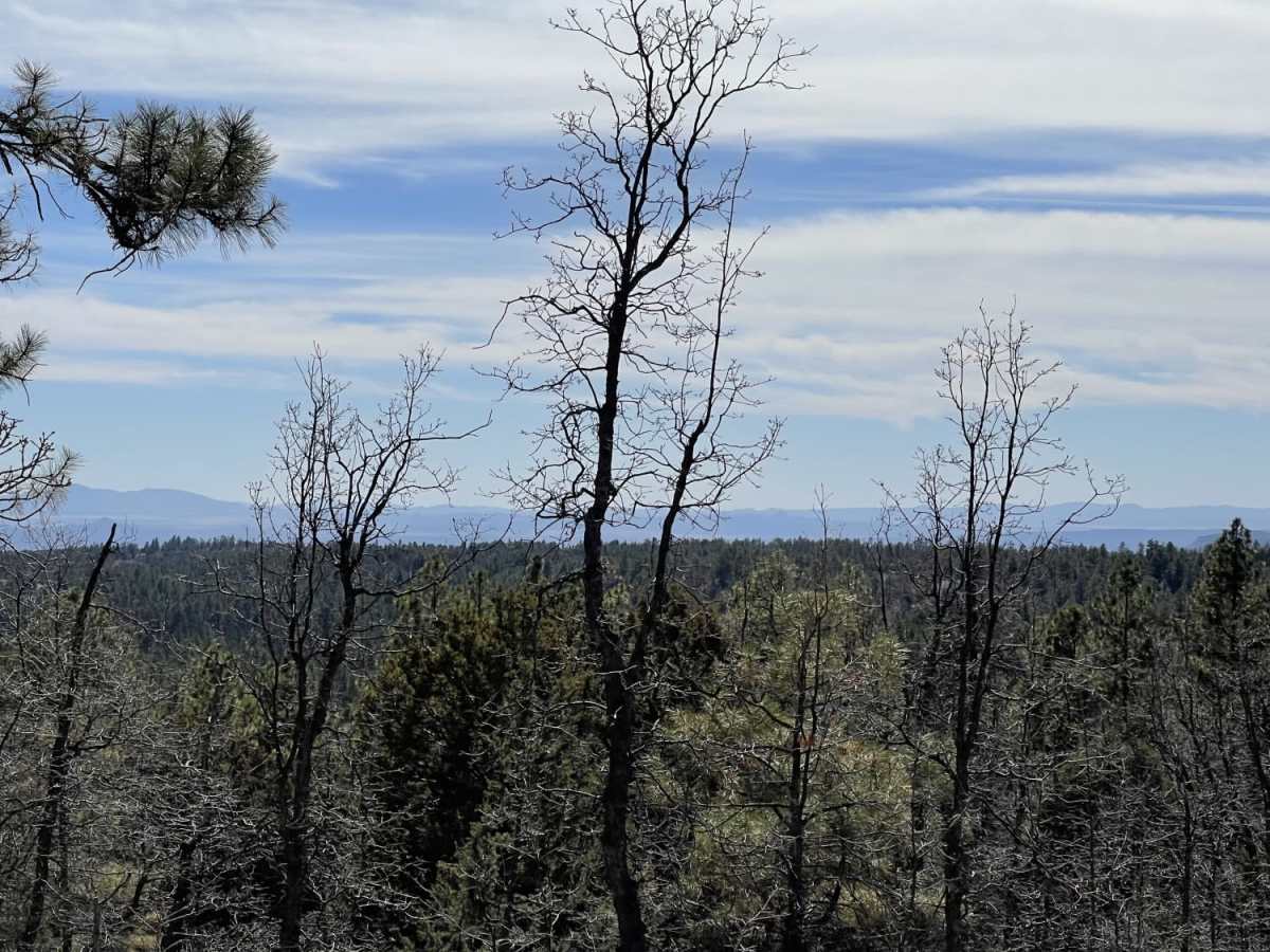 Rocky Ridge trail photo