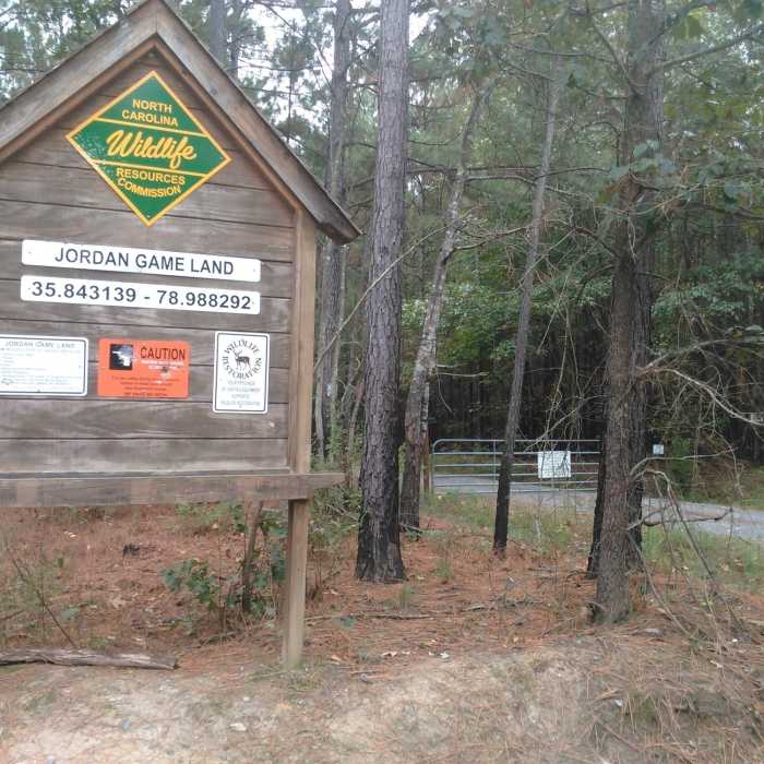 Near Transis Camp Road