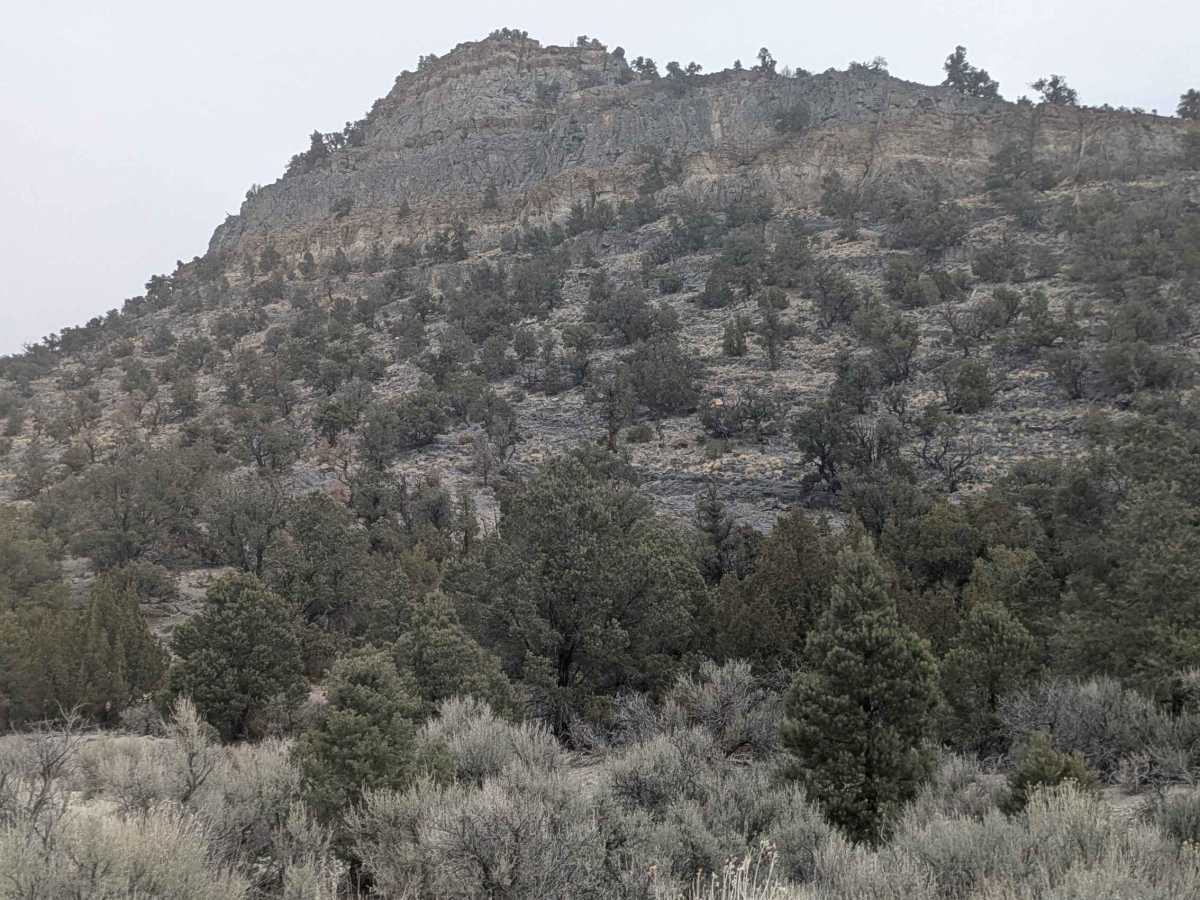 Side Canyon Road photo 2