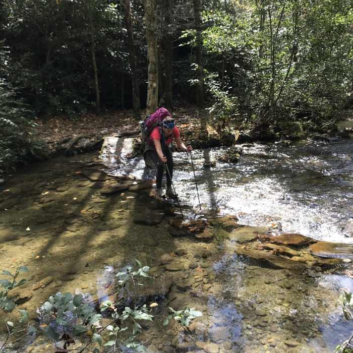 Near Lost Cove Trail