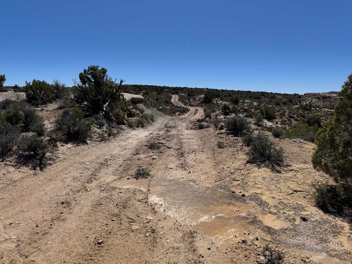 Dome Plateau Trail Spur photo 5