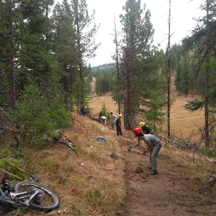 Near Fenceline #24.5