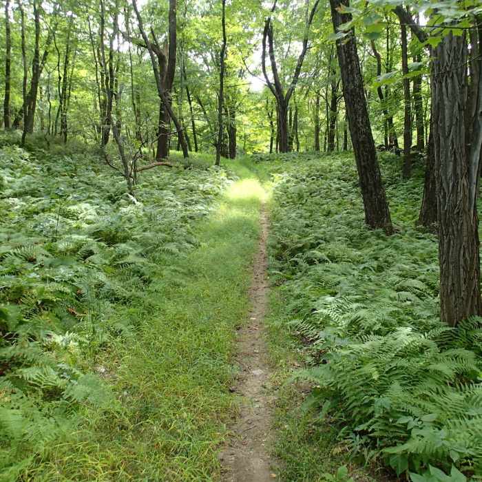 Near Stillwater Loop Trail
