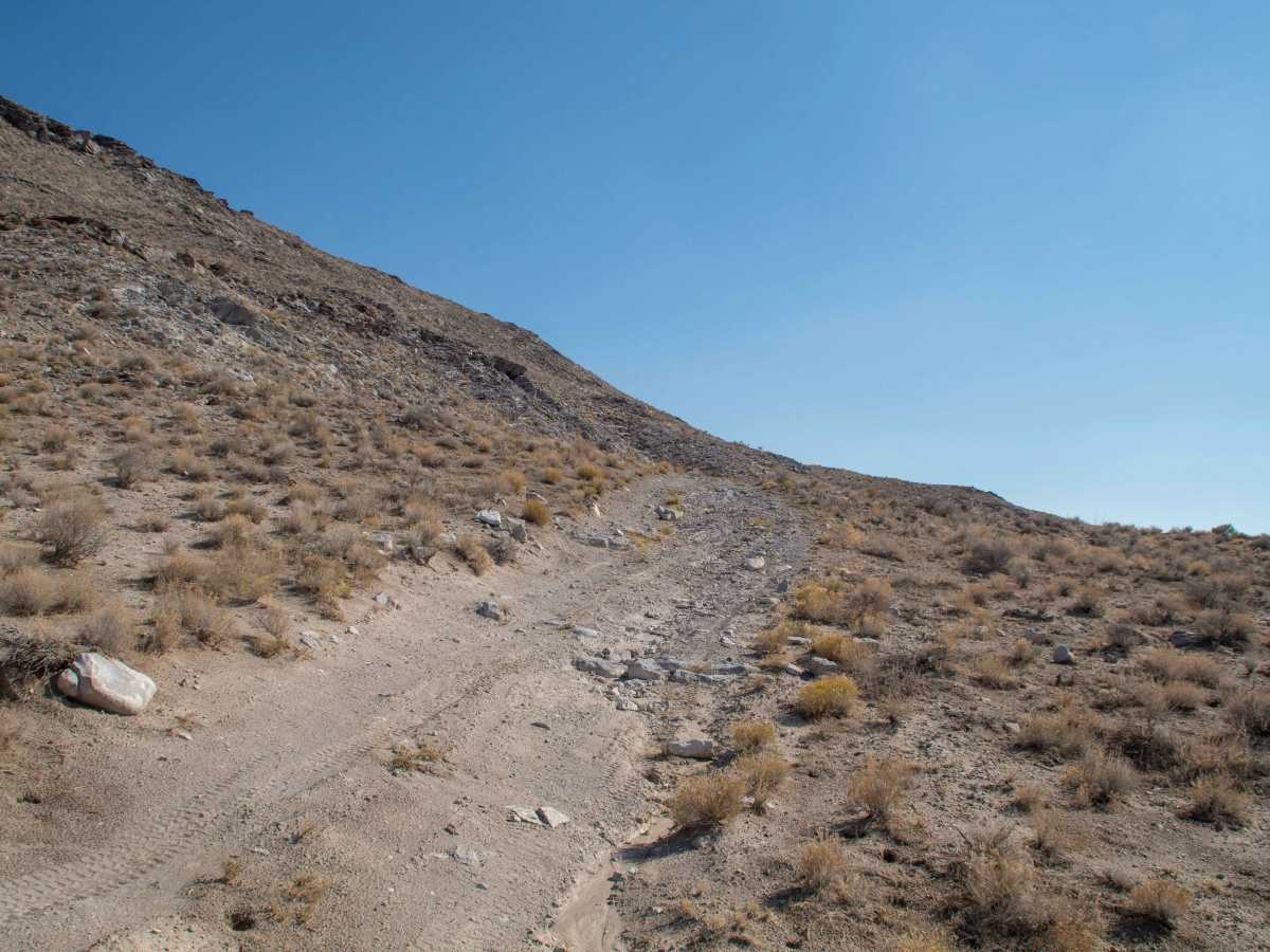 Smelter Knolls West trail photo
