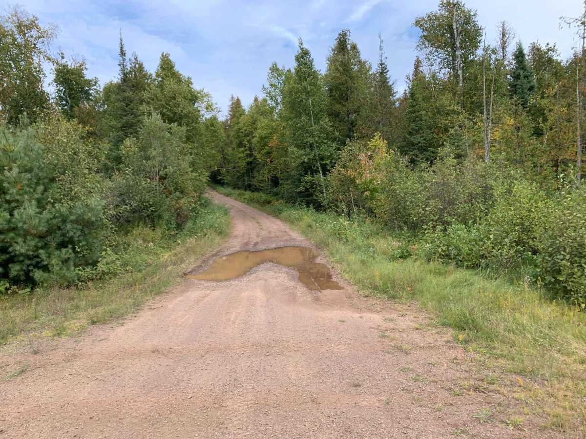 Pearl Lake Trail - FS 1849 trail photo