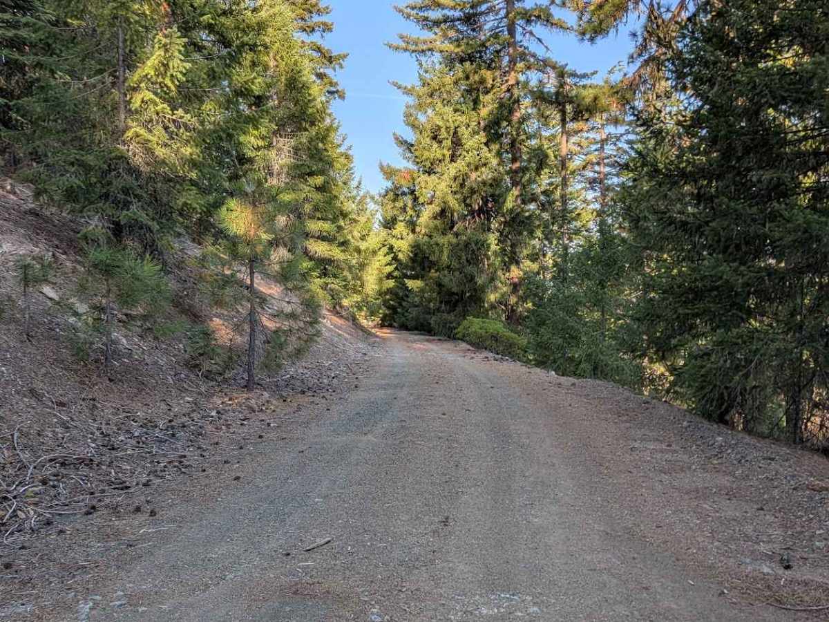 Dubakella Mountain Road - FS 30N27 photo 5