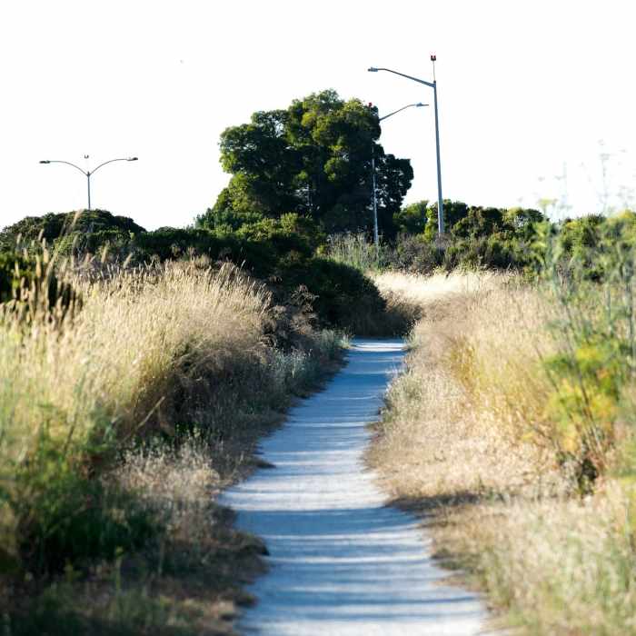 Near Byxbee Park Loop