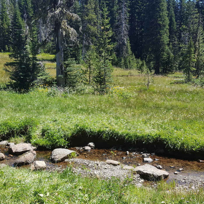 Near Boulder Lake and Bonney Meadows