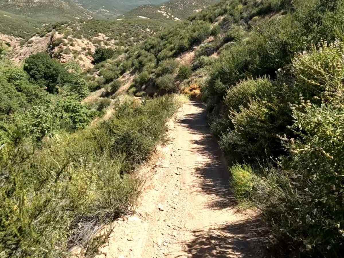 Flat OHV Trail trail photo