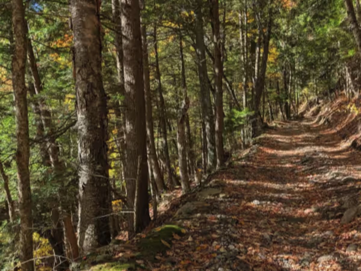 Big Hollow Road photo 5