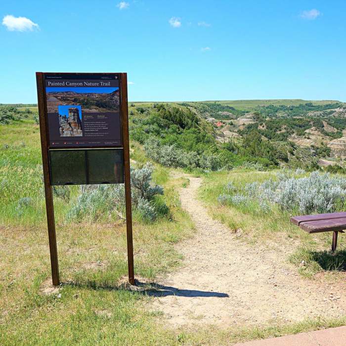 Near Painted Canyon Visitor Center Trails
