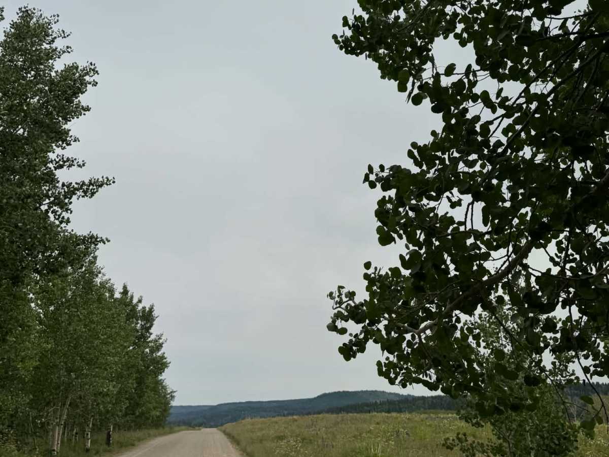 FS 245 photo 6