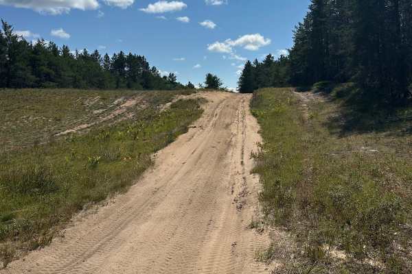 Wilson Spur