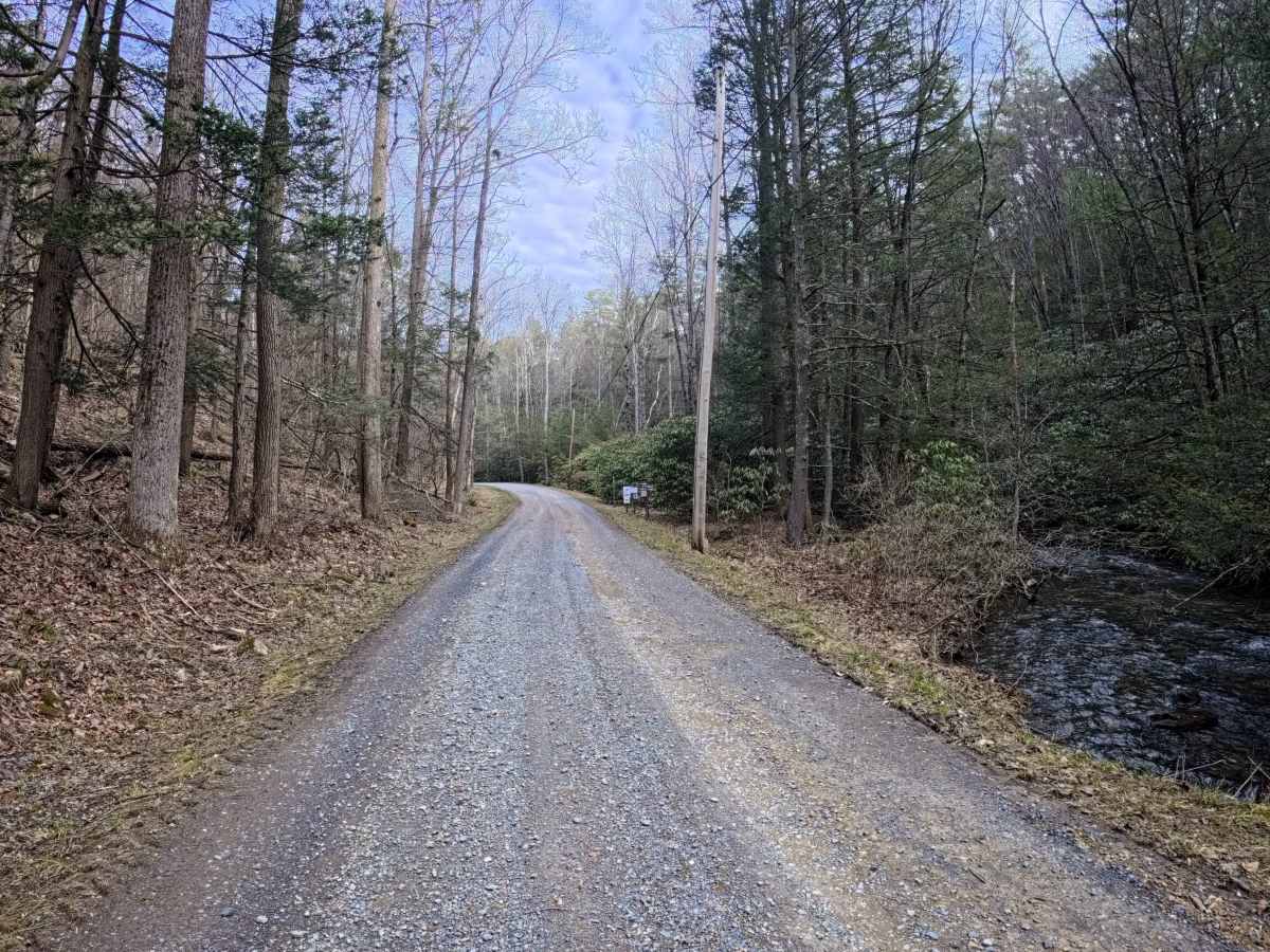 White Deer Road photo 5