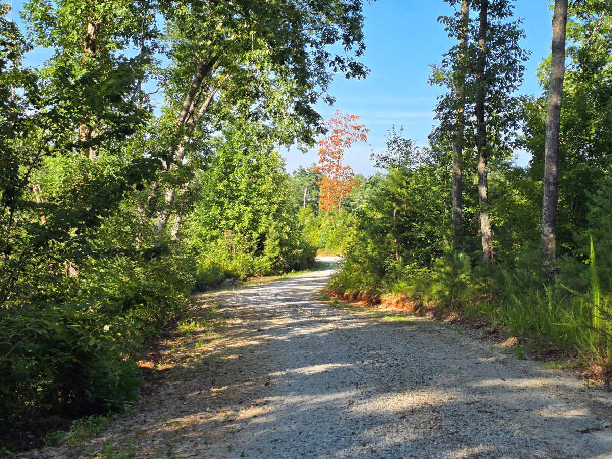 Hell Hole - FS 765 trail photo