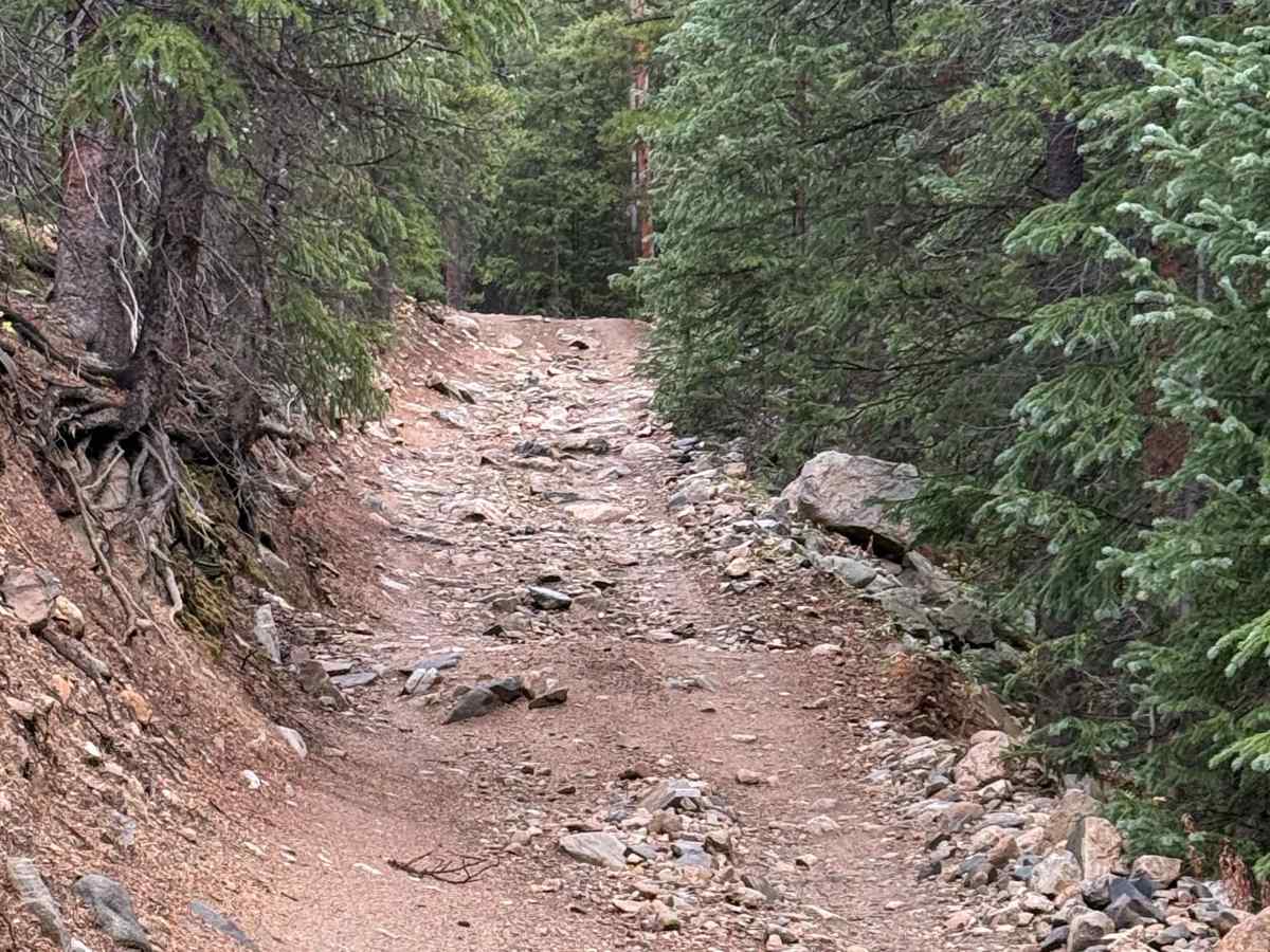 North Swan Road - FS 354 trail photo