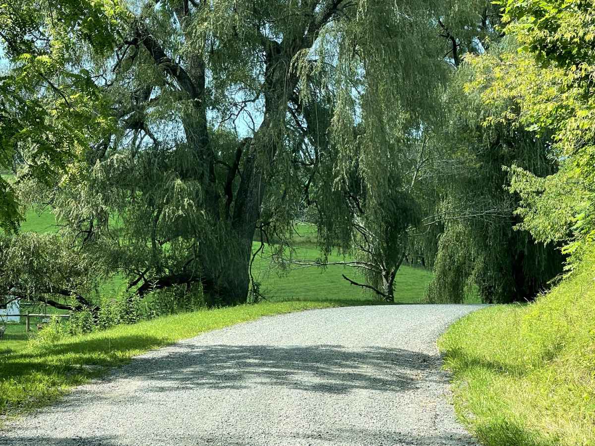 State Route 625 photo 3