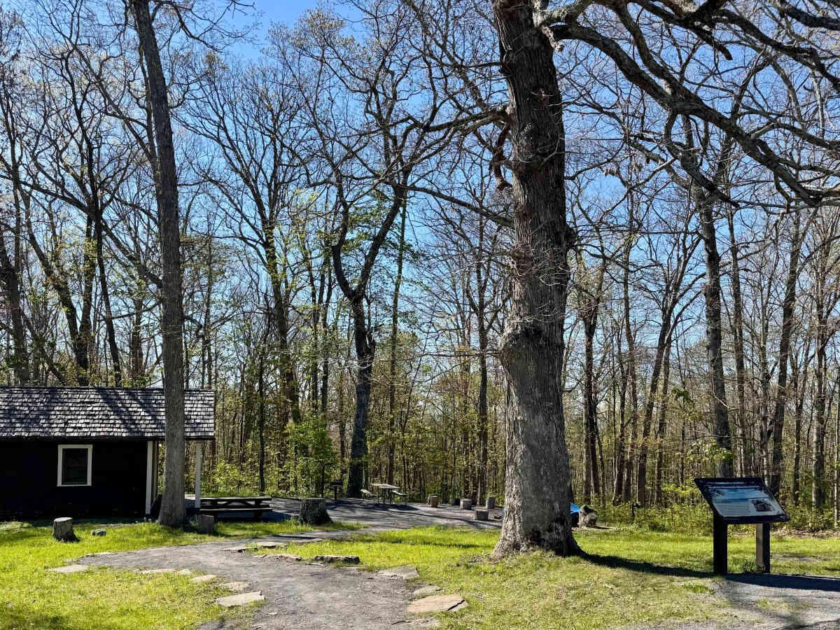 FSR 139 trail photo