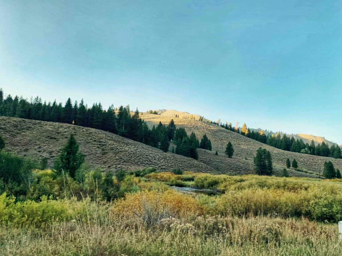 Frenchman's Warm Creek Trail trail photo