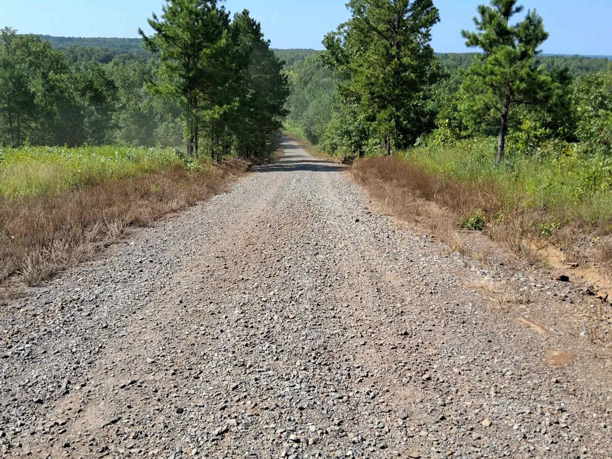 South Road photo 3