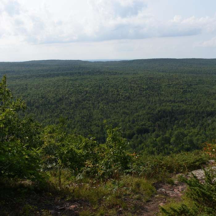Near Hacking Site Trail Near Hacking Site Trail