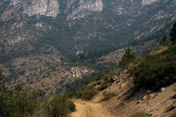 East Fork Mitchell FS 8215-112