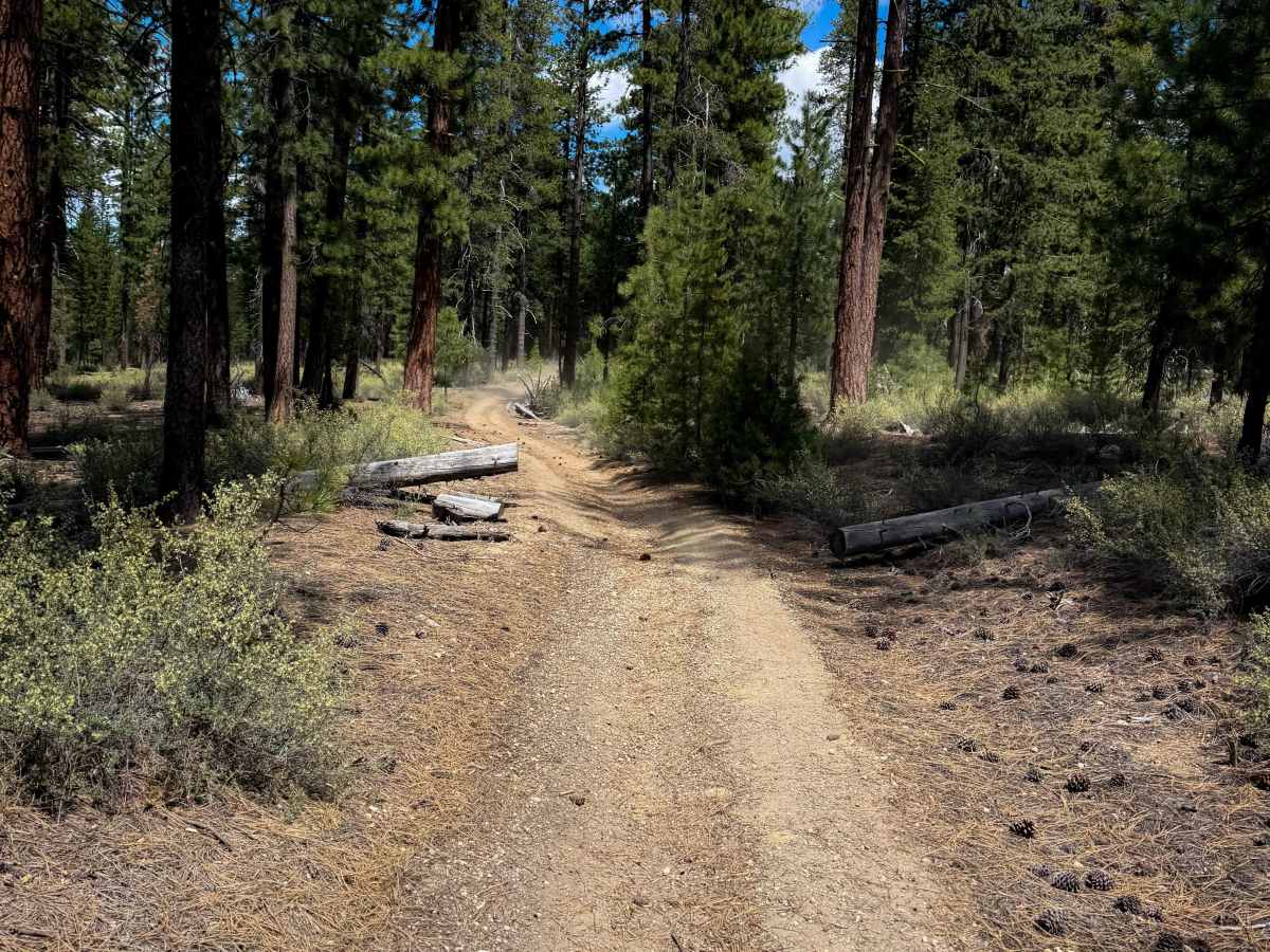 Trail 12  photo 2