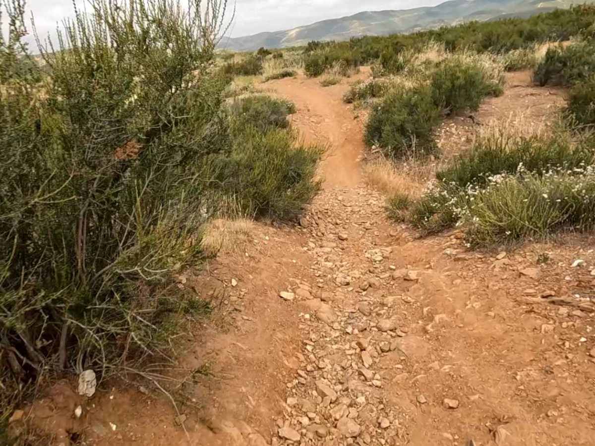 Buffer OHV Trail photo 3