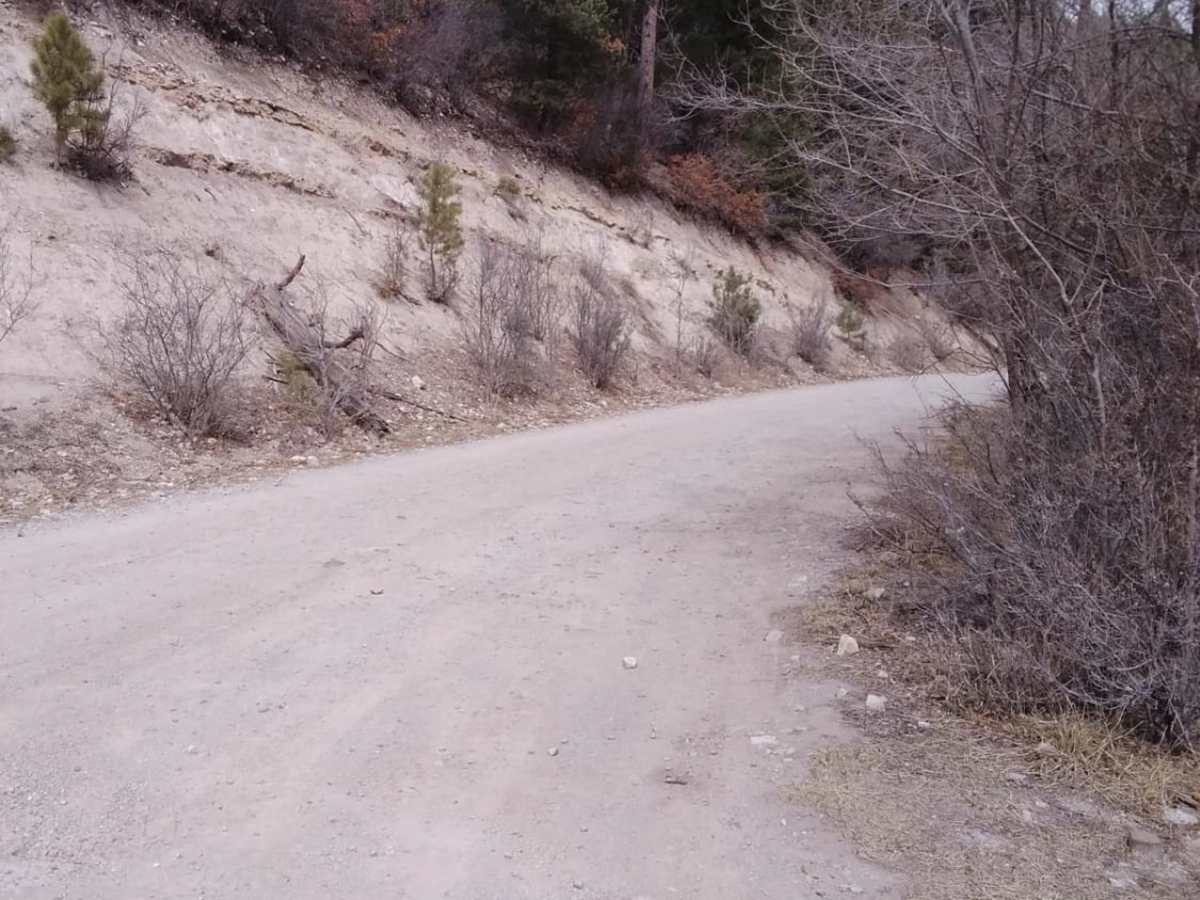 Bailey Canyon trail photo