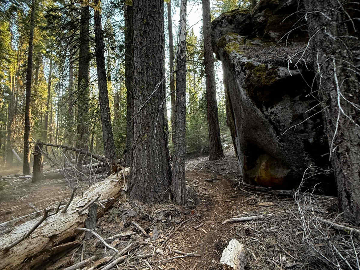 18EV67 trail photo