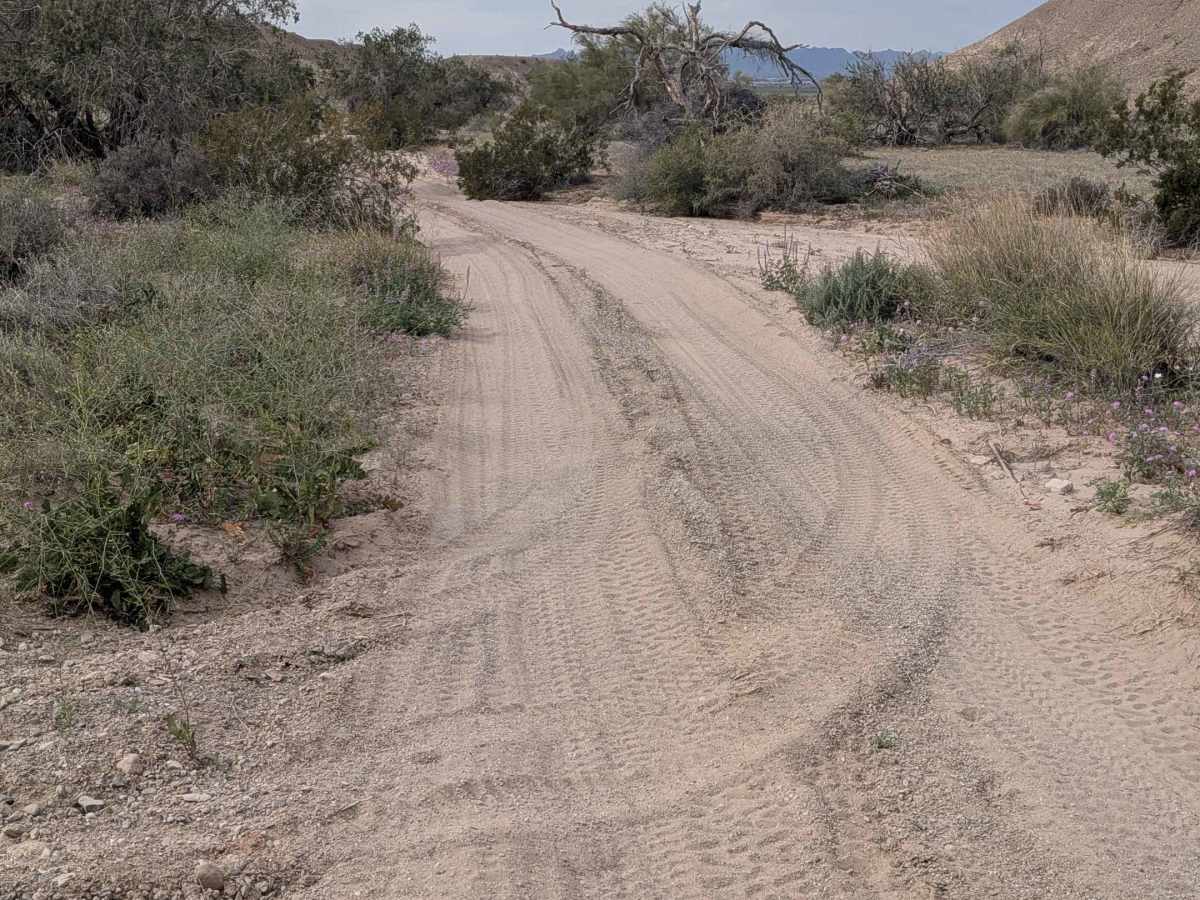 EC1222 trail photo