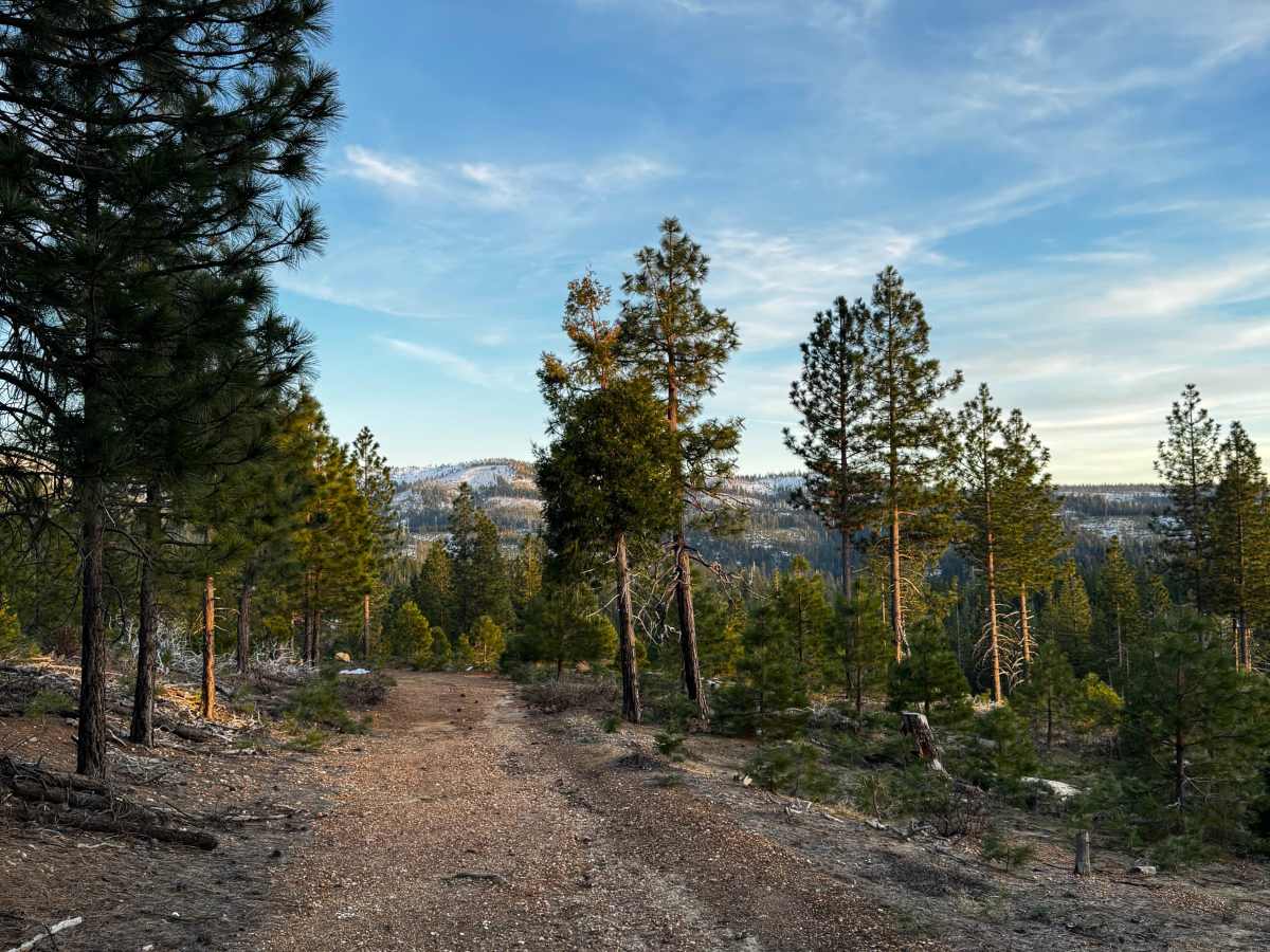 American Hill Mine photo 2