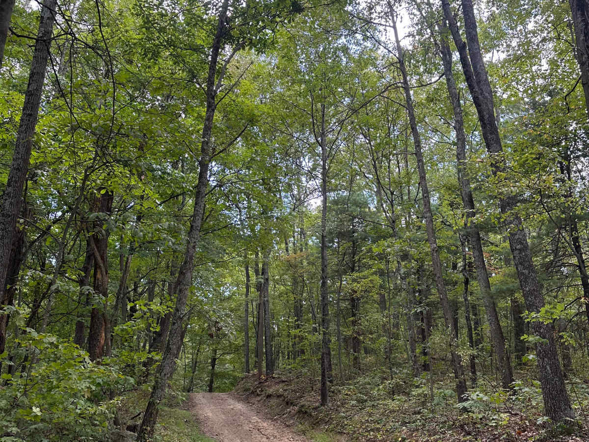 Raccoon Ridge  trail photo