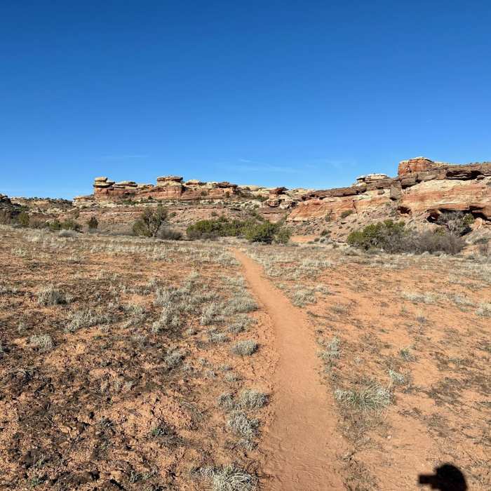 Near Confluence Overlook Trail