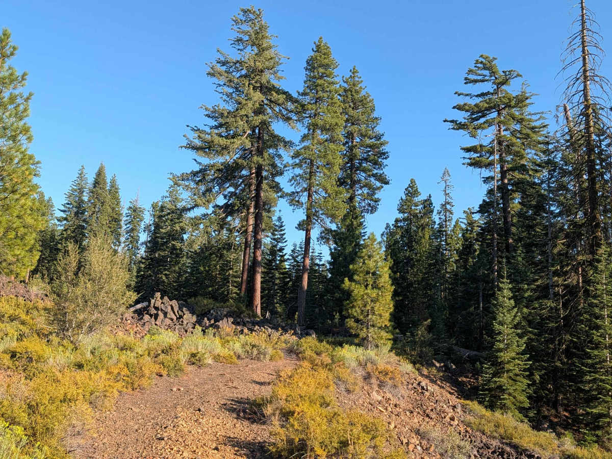 Black Lava - FS 42N23 trail photo