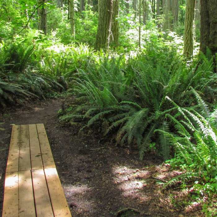 Near Cross Island Trail