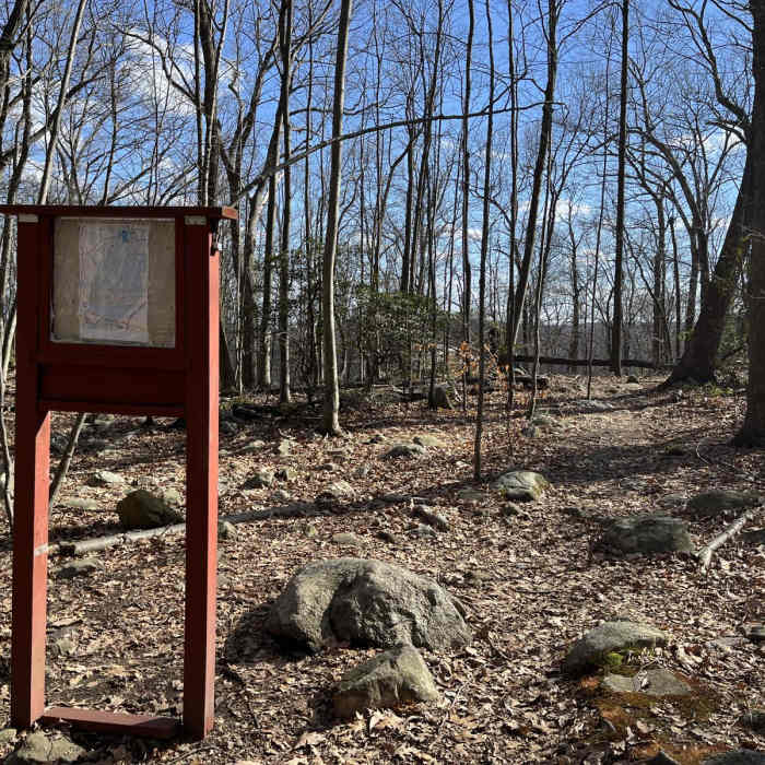 Near Silas Condict Loop Near Silas Condict Loop