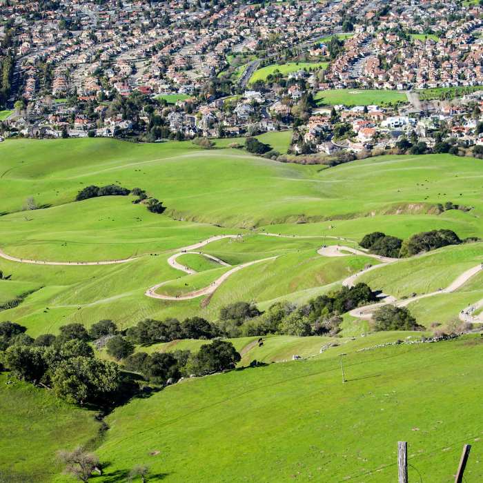 Near Ohlone Wilderness Trail / Hidden Valley Trail