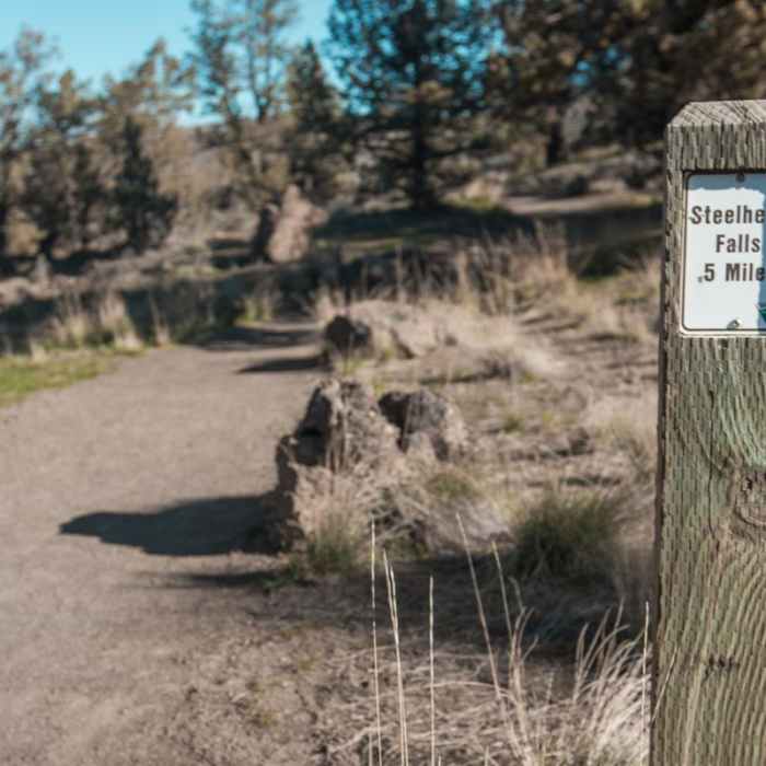 Near Steelhead Falls