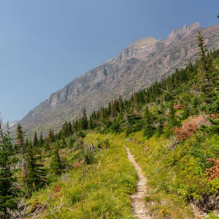 Near Medicine Grizzly Trail